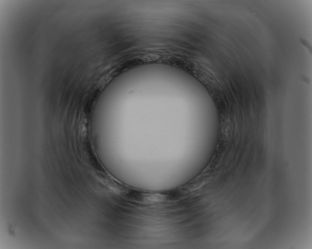 X0000091890226200709051050