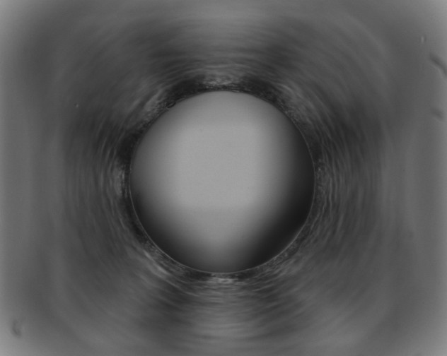 X0000091890227200709051050