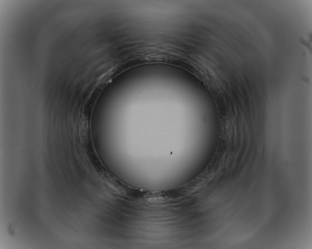 X0000091890228200709051050