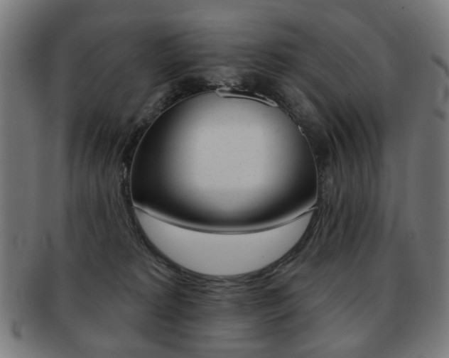 X0000091890229200709051050