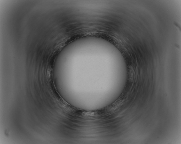 X0000091890230200709051050