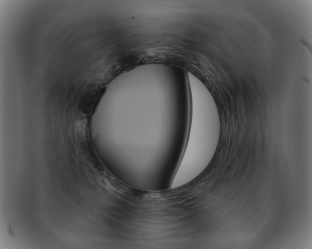 X0000091890231200709051050