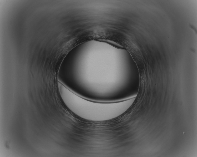 X0000091890233200709051050