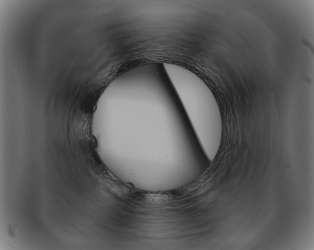 X0000091890234200709051050