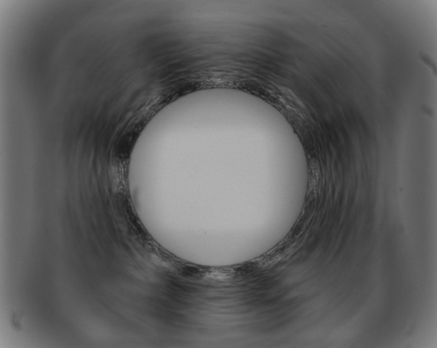 X0000091890236200709051050