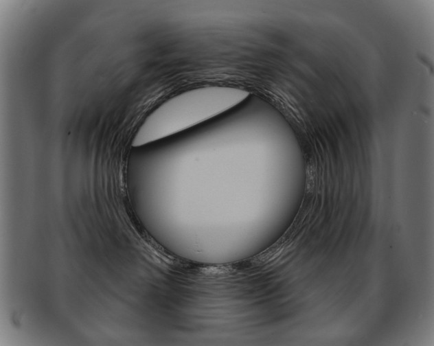 X0000091890238200709051050