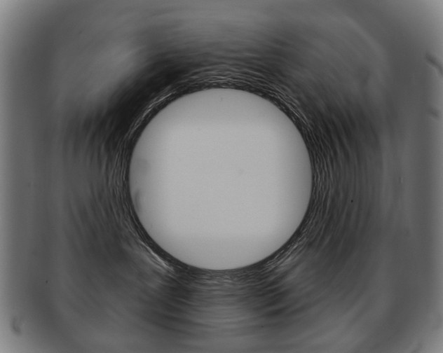 X0000091890239200709051050