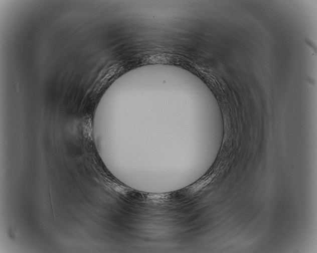 X0000091890240200709051050