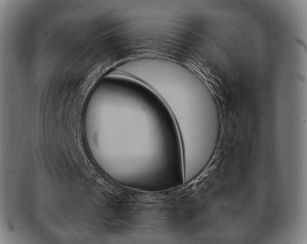 X0000091890241200709051050