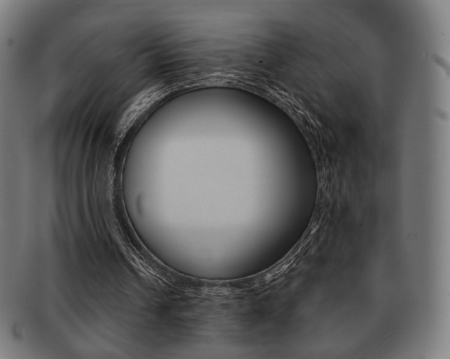 X0000091890242200709051050