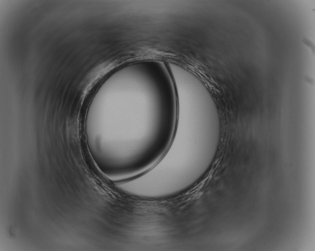 X0000091890244200709051050