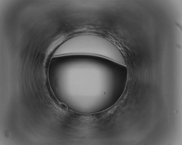 X0000091890245200709051050