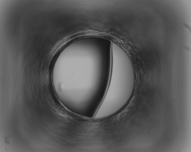 X0000091890247200709051050