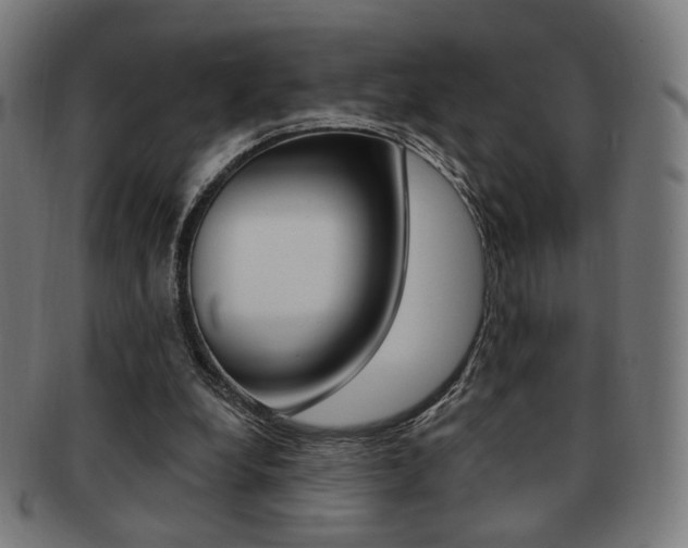X0000091890248200709051050