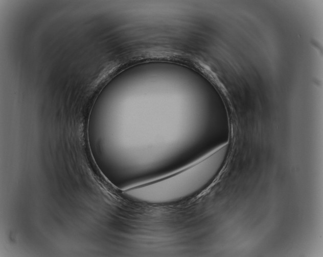 X0000091890249200709051050