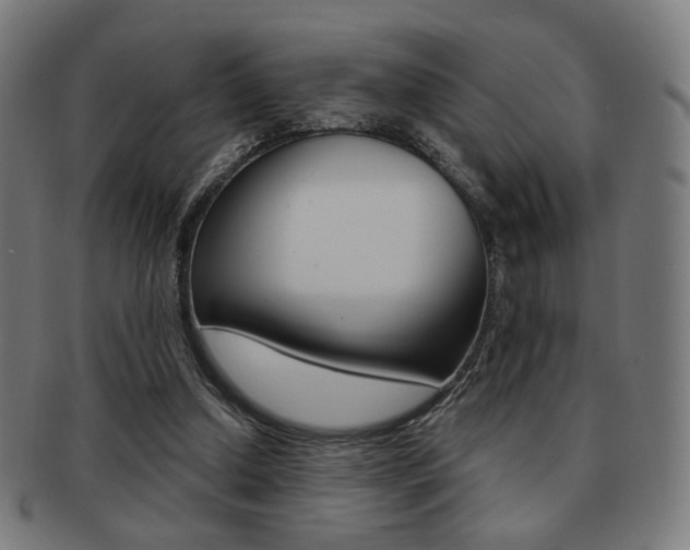 X0000091890250200709051050