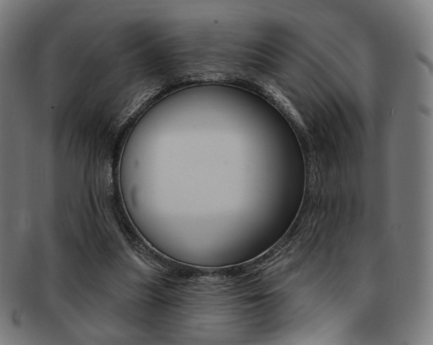 X0000091890251200709051050