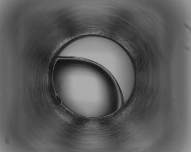 X0000091890252200709051050