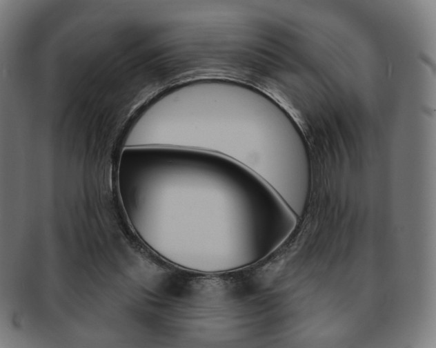 X0000091890253200709051050