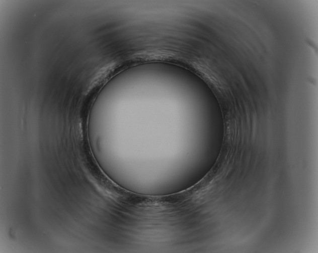 X0000091890254200709051050