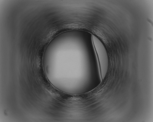 X0000091890255200709051050