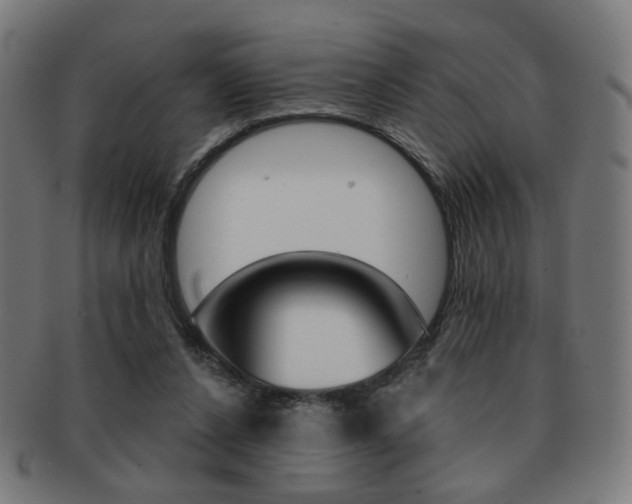 X0000091890256200709051050