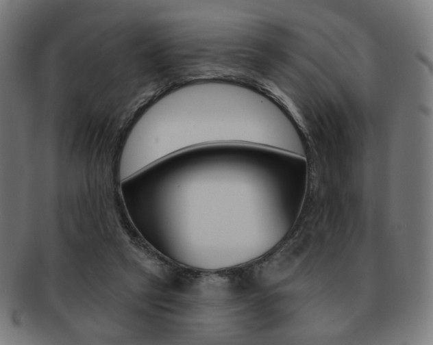 X0000091890257200709051050