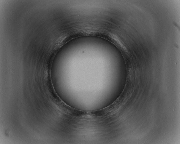 X0000091890259200709051050