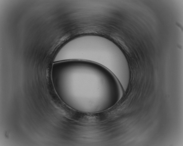 X0000091890260200709051050