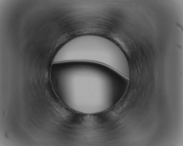 X0000091890261200709051050