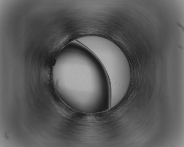 X0000091890264200709051050