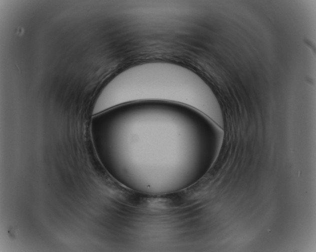 X0000091890268200709051050