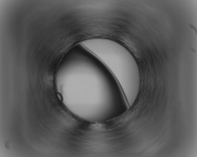X0000091890269200709051050