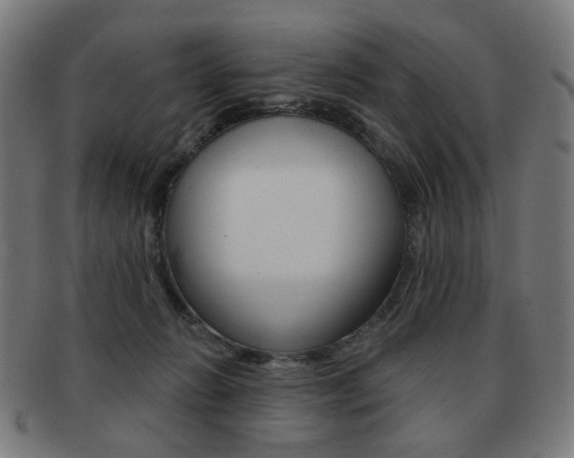 X0000091890270200709051050