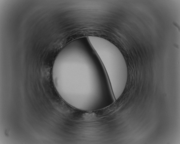 X0000091890271200709051050