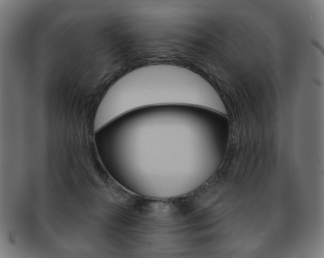 X0000091890272200709051050