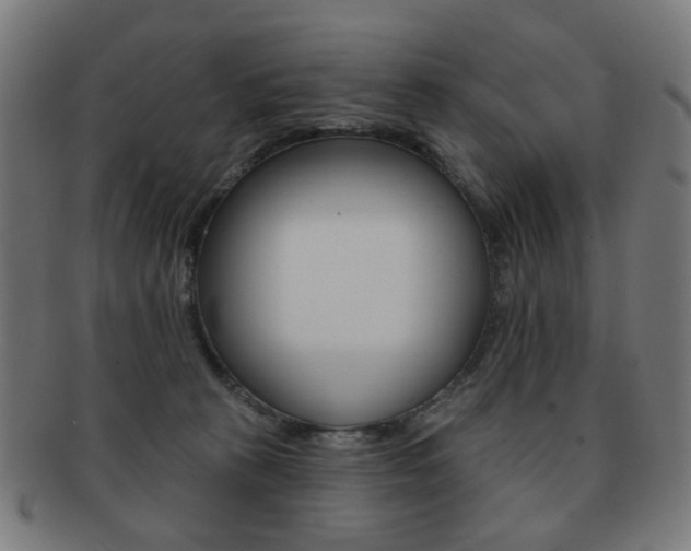 X0000091890273200709051050