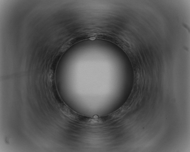 X0000091890275200709051050