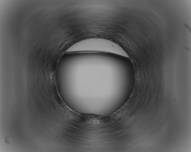 X0000091890276200709051050