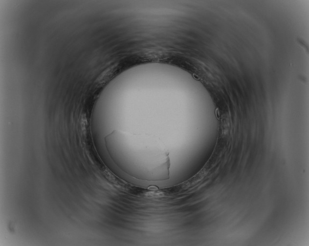 X0000091890279200709051050