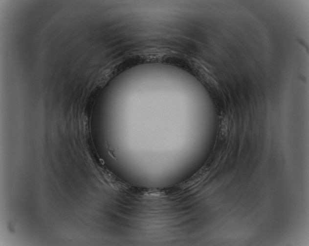 X0000091890283200709051050