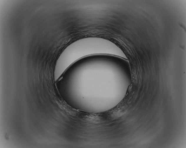 X0000091890284200709051050