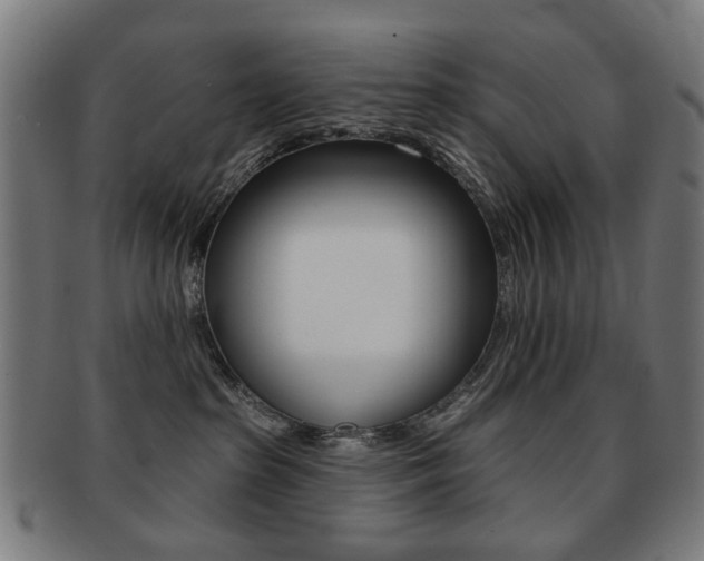 X0000091890285200709051050