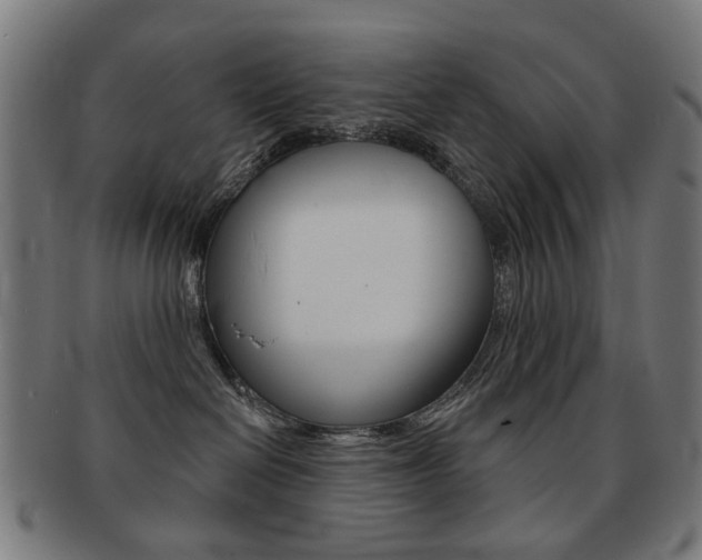 X0000091890286200709051050