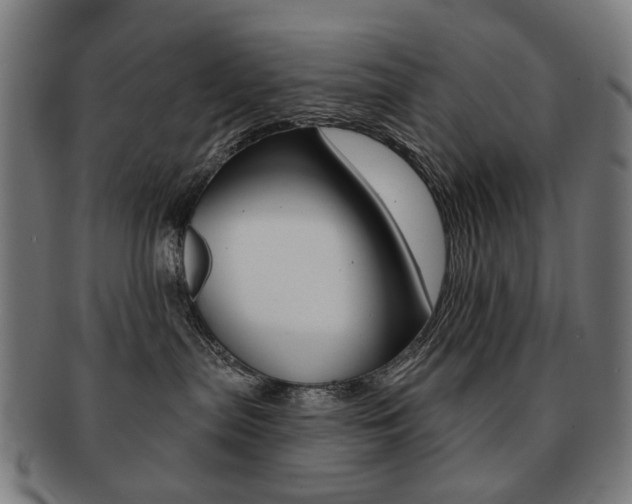 X0000091890287200709051050