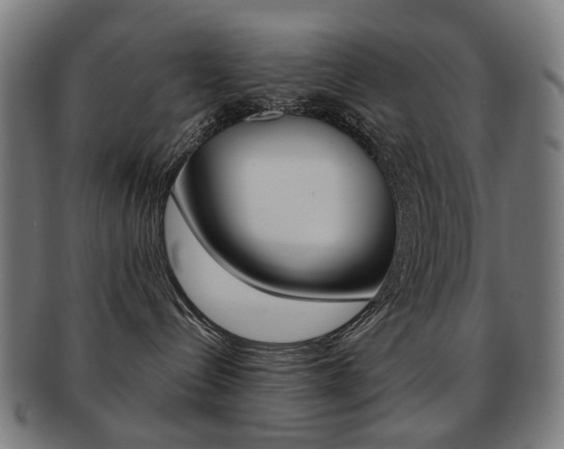 X0000091890288200709051050