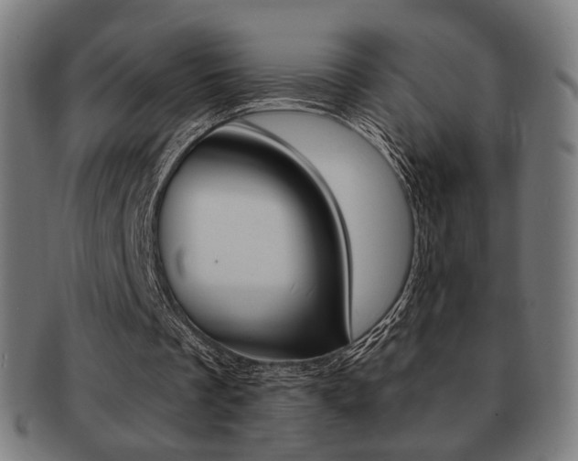 X0000091890289200709051050
