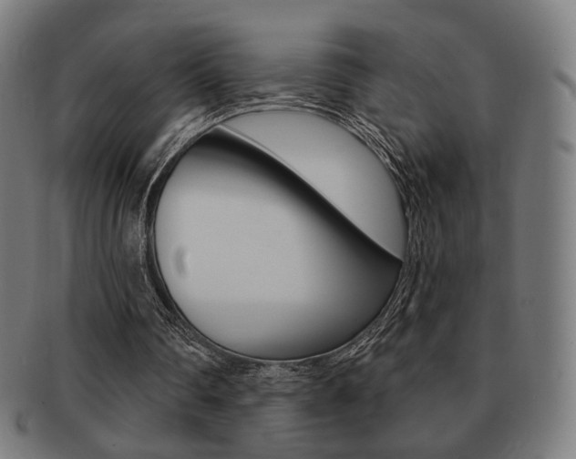 X0000091890290200709051050