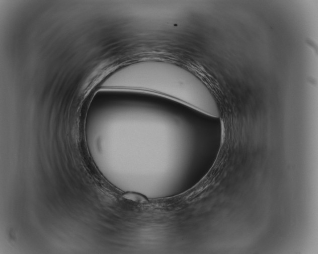 X0000091890291200709051050