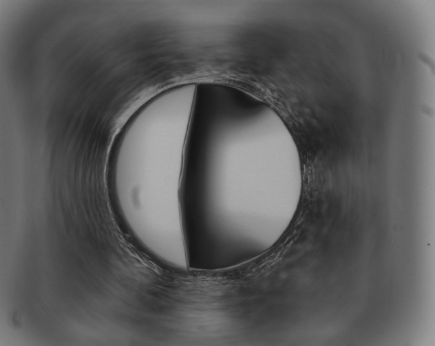 X0000091890292200709051050